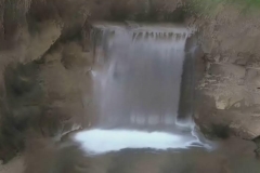 Time Ghosted Organically Blurred Garden Waterfall Loop